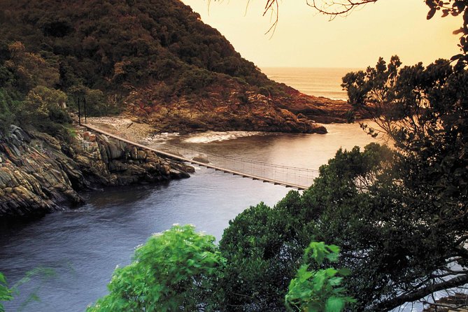 5 Day Cape to Addo Safari - Garden Route Small Group Tour - Day 4: Surf culture and an Addo game drive