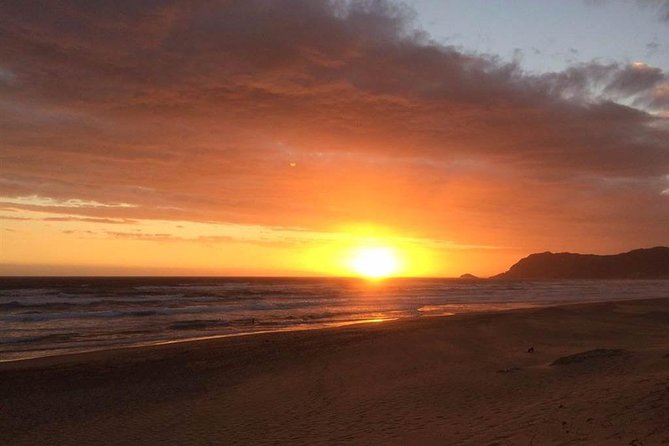 5 Day Cape to Addo Safari - Garden Route Small Group Tour - What the $611.81 price really covers