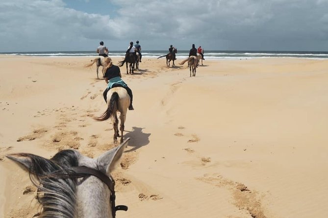 5 Day Garden Route and Addo Safari - Best of South Africa Small Group Tour - The guides can make or break the experience