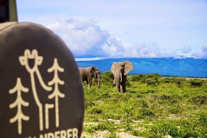 5-Day Mid-Range Safari in Tanzania - Day 4: Lake Manyara’s forest, lake, and Rift Valley views
