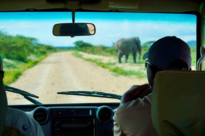 5-Day Mid-Range Safari in Tanzania - Day 5: Airport transfer and possible island extension
