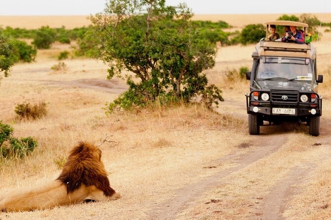 5-Day Mid-Range Safari in Tanzania - Day 1: Arriving in Arusha and settling into safari time