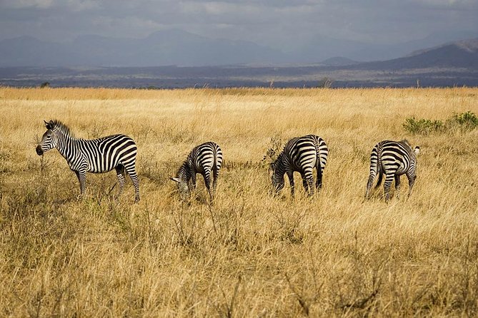 5-Day Mikumi & Ruaha Tanzania Wildlife Lodge Safari - Day two: From Mikumi through Iringa to Ruaha