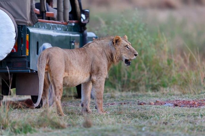 5-Day Mikumi & Ruaha Tanzania Wildlife Lodge Safari - Who will enjoy this safari most