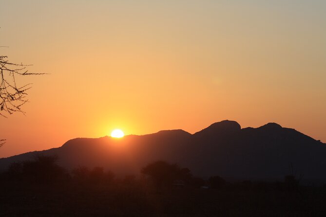 5-Day private Camping Safari Tour in Tanzania - Day 1: Tarangire’s elephants and baobabs