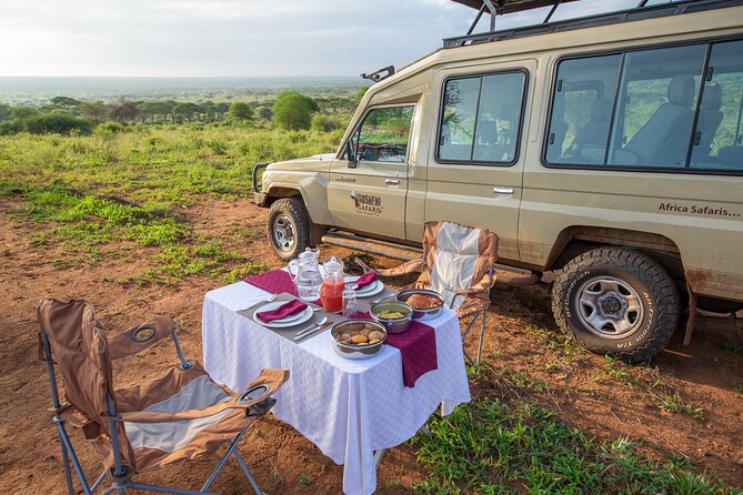 5-Day Private Northern Tanzania Safari from Arusha - Day 4: One more Serengeti morning, then Ngorongoro