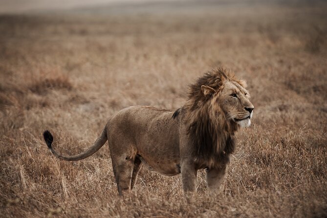 5 Day Tanzania Safari - Why this five-day route works