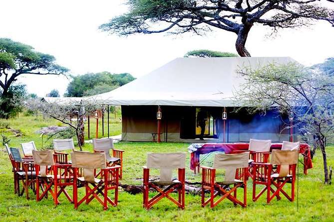 5 Days 4 Nights Tarangire, Serengeti , Ngorongoro & Manyara Wildlife Safari - Day 4: Ngorongoro Crater’s compact wildlife world