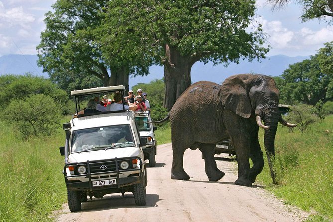 5 Days 4 Nights Tarangire, Serengeti , Ngorongoro & Manyara Wildlife Safari - Guide quality is the heart of the trip