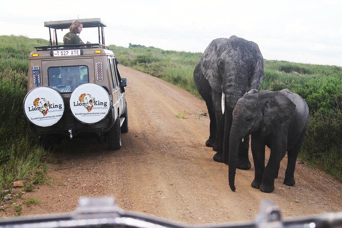 5 Days Best of Tanzania Luxury Safari Northern Circuit - Serengeti: the main event for many safari fans