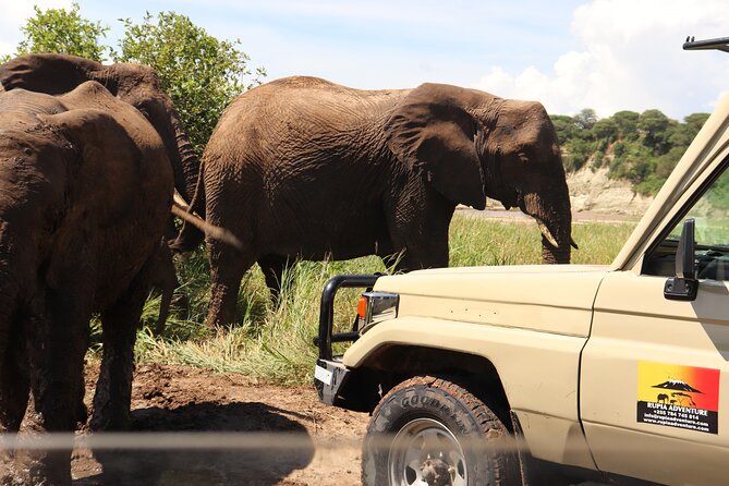 5 Days Lodge Safari - Tarangire, Serengeti, Ngorongoro & Manyara - Day 2: The road to Serengeti is part of the story
