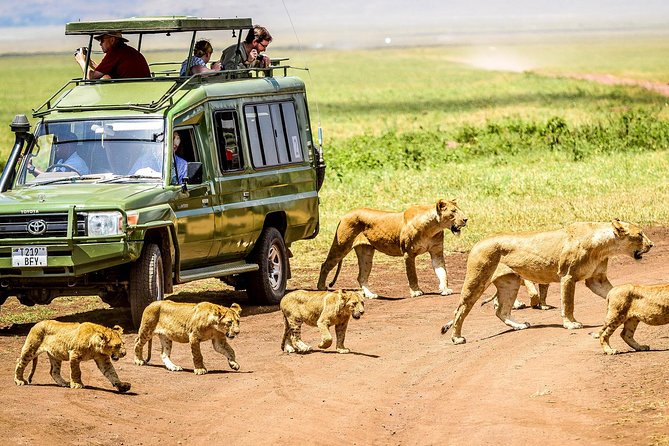 5 Days Private Safari- Tarangire, Serengeti, Ngorongoro & Manyara - What this five-day route really offers