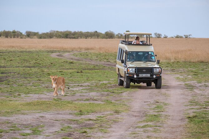 5 Days Private Safari Tour & Maasai village Visit Tanzania - Day 1: Lake Manyara, forest, lake, and the Rift Valley