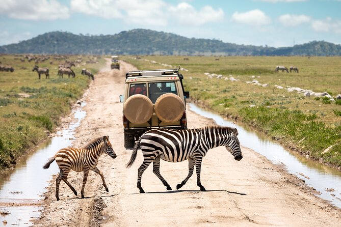 5 Days Private Safari Tour & Maasai village Visit Tanzania - Day 3: Entering the Serengeti through the highlands