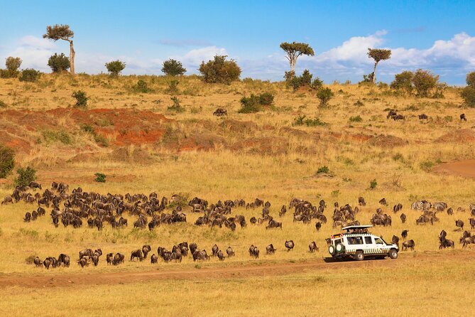 5 Days Private Safari Tour & Maasai village Visit Tanzania - The Maasai village question and Mto wa Mbu visit