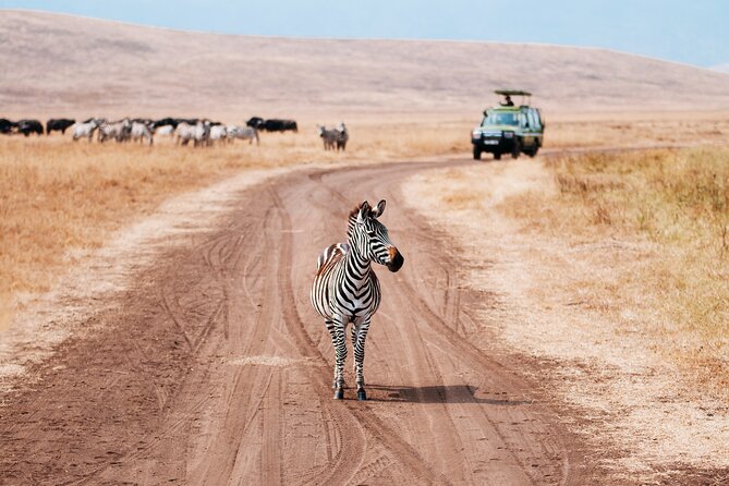 5 Days Private Safari Tour & Maasai village Visit Tanzania - Guides, communication, and the value of a private vehicle