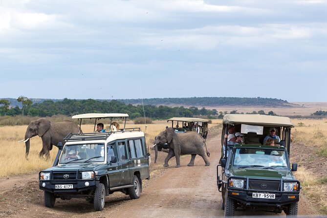 5 Days Private Safari Tour & Maasai village Visit Tanzania - Day 2: Tarangire’s elephants and baobab country