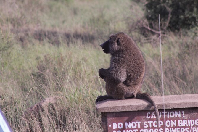5-Days Private Tanzania Safari Tour - Lake Manyara: finish on foot