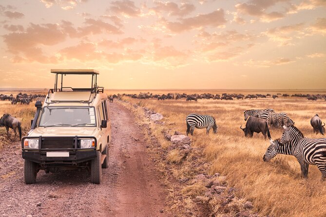 5 days safari, hiking & culture (Serengeti & kilimanjaro) - Ngorongoro views and the optional Maasai stop