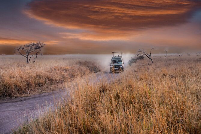 5 days safari, hiking & culture (Serengeti & kilimanjaro) - Seronera at dawn, when the park feels most alive
