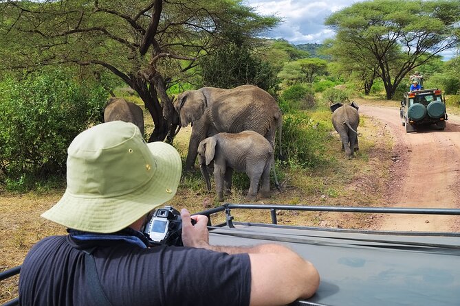 5 days safari, hiking & culture (Serengeti & kilimanjaro) - Who will enjoy this tour most