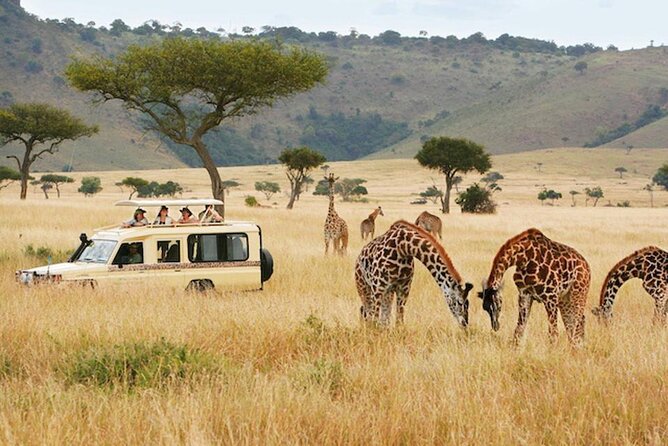 5 Days Safari in Tanzania | Camping and Lodge Safaris - What this five-day Tanzania safari is really offering