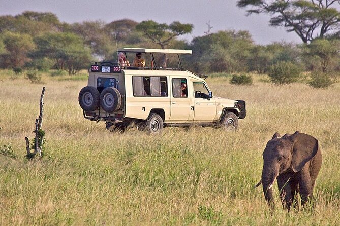 5 Days Safari in Tanzania | Camping and Lodge Safaris - Day 2: Across the Rift Valley to the Serengeti