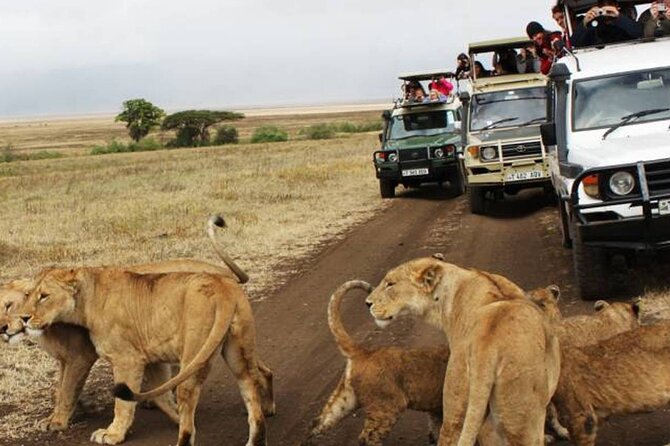 5 Days Safari in Tanzania | Camping and Lodge Safaris - Guides, vehicles, and group size