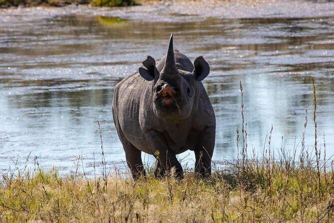 5 Days Safari Northern Circuit of Tanzania - Day 3: Down into Ngorongoro Crater