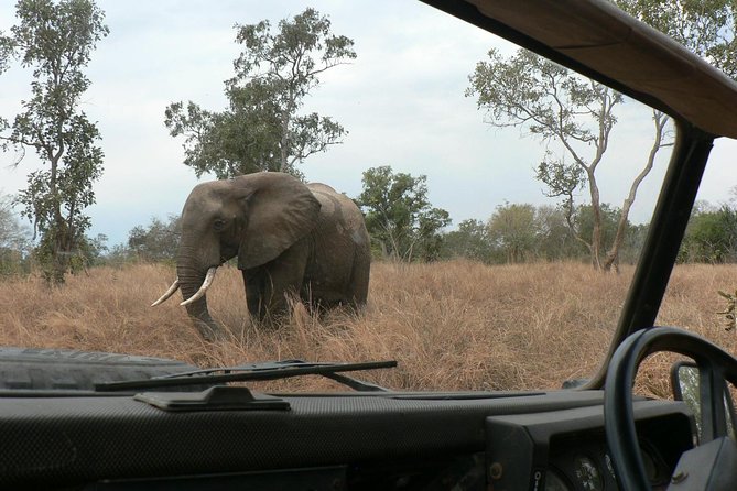 5 Days Safari to Selous & Mikumi - Why southern Tanzania feels different