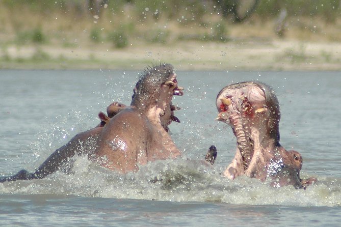 5 Days Safari to Selous & Mikumi - Day 3: From Selous through Morogoro to Mikumi