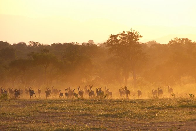 5 Days Safari to Selous & Mikumi - Day 4: A full day on Mikumi’s flood plain