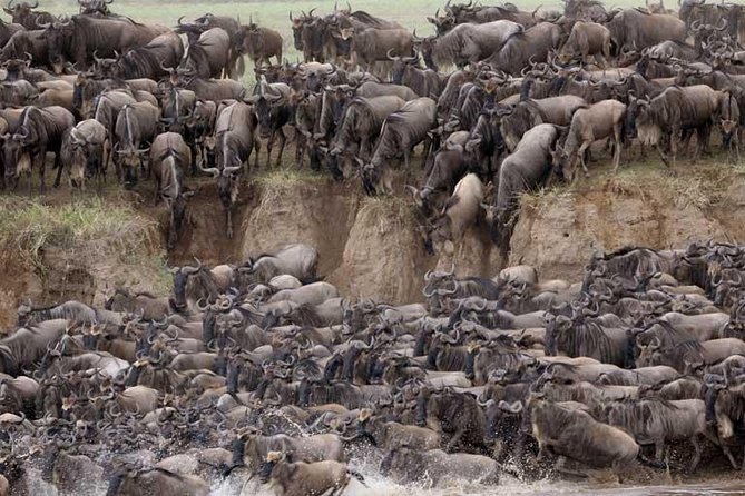 5 Days Serengeti Camping Safari - Day 5: Lake Manyara’s birds, hippos, and hot spring