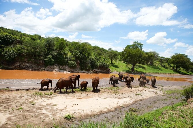 5 Days Tanzania Group Joining Safari, Tarangire/Serengeti/Ngorongoro Crater - Key points at a glance