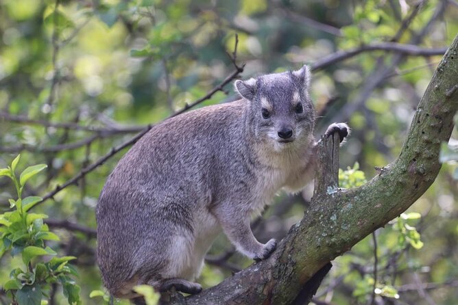 5 Days Tanzania Joining Safari with Pick Up Included Shared Tour - Key points before you book