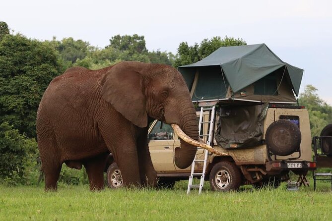 5 Days Tanzania Joining Safari with Pick Up Included Shared Tour - What $1,500 buys you in northern Tanzania
