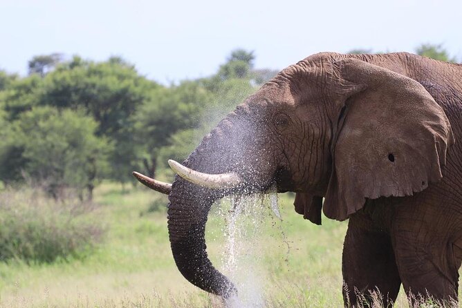 5 Days Tanzania Joining Safari with Pick Up Included Shared Tour - Day 1: Tarangire’s baobabs and elephant country