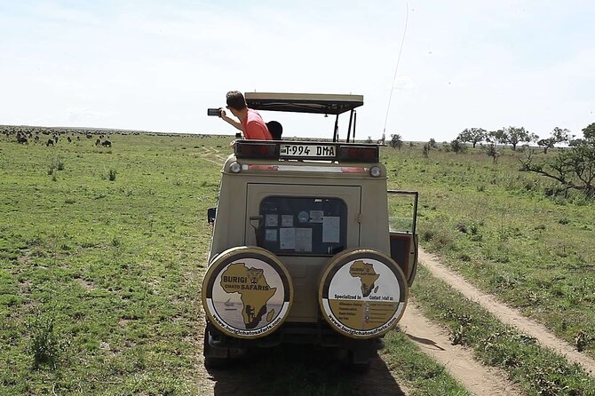 5 days Tanzania midrange lodge Private safari - Food, Lodges, and What to Pack