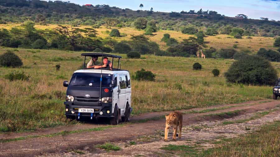 5-Hour Nairobi National Park 4x4 Safari with Free Pickup - The first game-drive hours