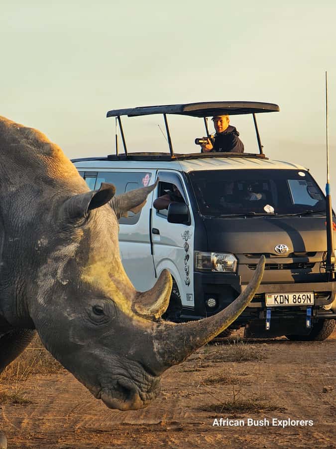 5-Hour Nairobi National Park 4x4 Safari with Free Pickup - Pickup and the ride to the park