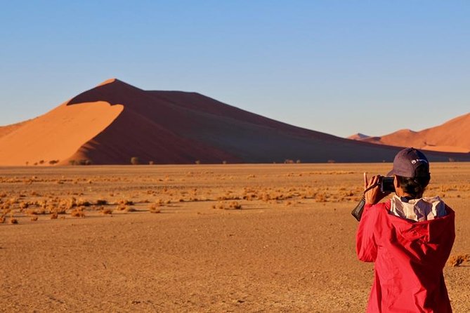 6-Day Dunes and Wildlife Accommodated Safari from Windhoek - Day 6: Cheetahs and the return route