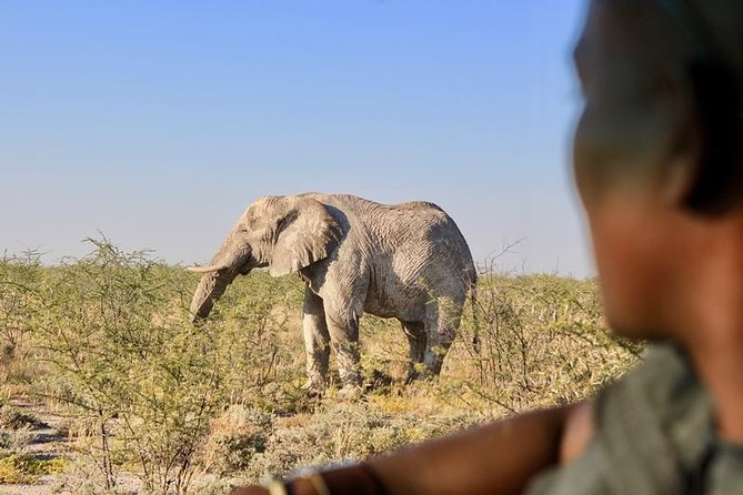 6-Day Dunes and Wildlife Accommodated Safari from Windhoek - What the $2,127.99 price really covers