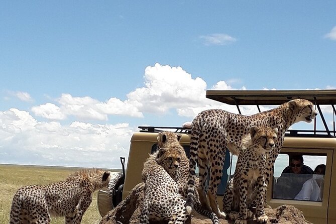 6 Day Group Camping Safari Tarangire Serengeti Ngorongoro Manyara - What this six-day safari gets right