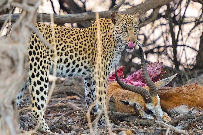 6 Day Group Camping Safari Tarangire Serengeti Ngorongoro Manyara - What the $1,370 price really covers
