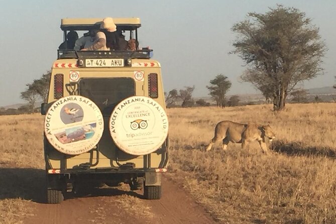 6 Day Group Camping Safari Tarangire Serengeti Ngorongoro Manyara - Day 1: Tarangire’s elephants and baobab country