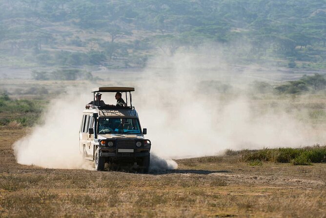 6-Day Honeymoon Safari Tour Package in Tanzania - Day three: From Karatu highlands to the Seronera plains