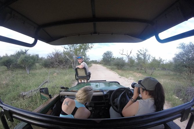 6 Day Lodge and Treehouse Kruger National Park Safari - Day one: sunset and night wildlife at Balule