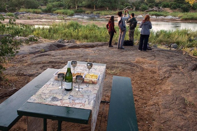 6 Day Lodge and Treehouse Kruger National Park Safari - Day four: Moholoholo and an afternoon reserve drive