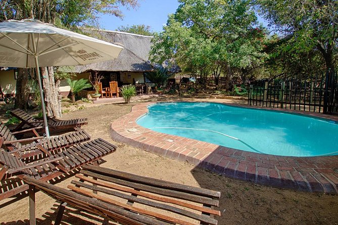 6 Day Lodge and Treehouse Kruger National Park Safari - Day five: another full Kruger game day