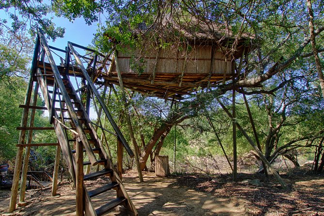 6 Day Lodge and Treehouse Kruger National Park Safari - Lodging, meals, and the safari atmosphere